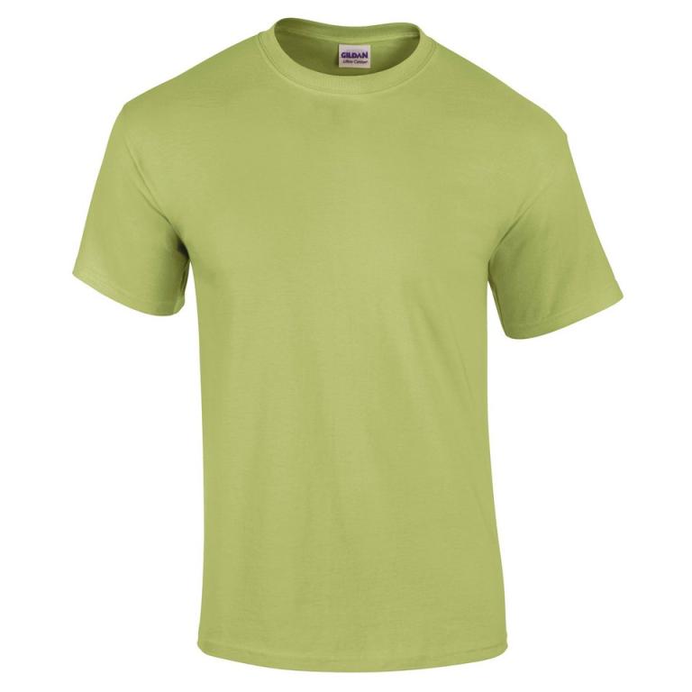 Ultra Cotton™ adult t-shirt Pistachio