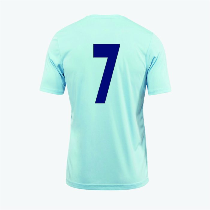 Spelthorne Sports FC Joma Playing Shirt (Sky Blue)