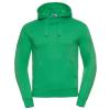 Authentic hooded sweatshirt Apple