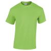 Heavy Cotton™ youth t-shirt Lime