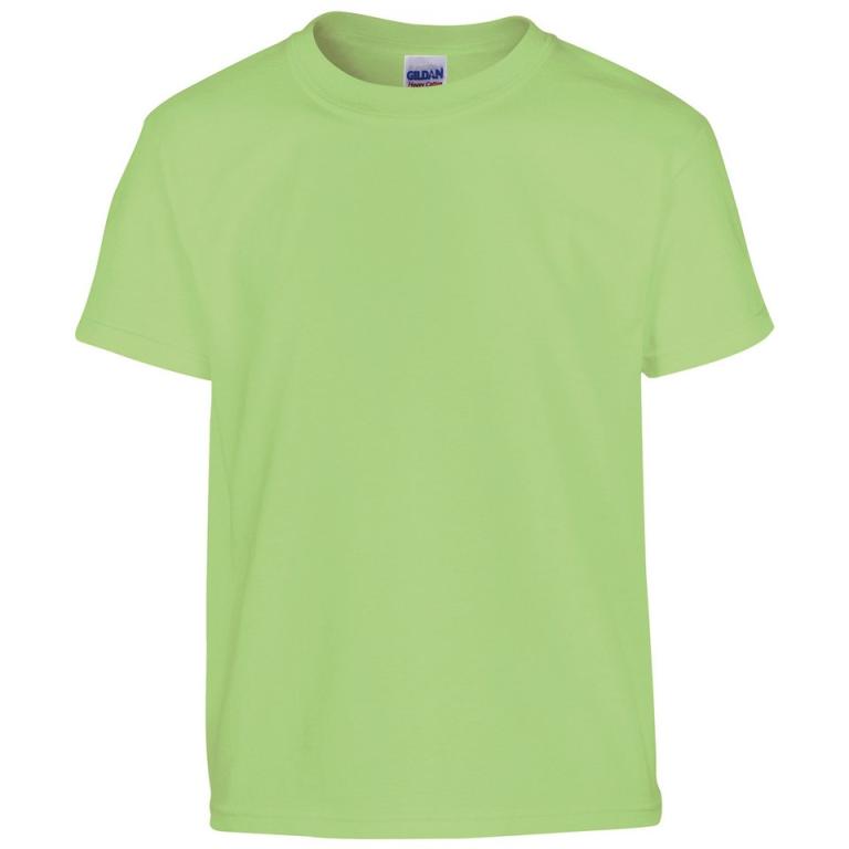 Heavy Cotton™ youth t-shirt Mint Green