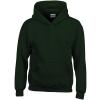 Heavy Blend™ youth hooded sweatshirt Forest