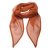 'Colours' Chiffon scarf Chestnut