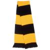 Team scarf Black/Gold