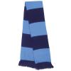 Team scarf Navy/Sky