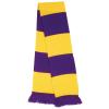 Team scarf Purple/Yellow