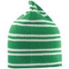 Team reversible beanie Kelly Green/White/Kelly Green