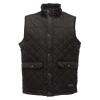 Tyler bodywarmer Black