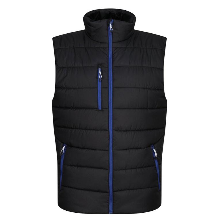 Navigate thermal bodywarmer Black/New Royal