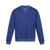 Pro crew neck sweatshirt New Royal