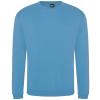 Pro sweatshirt Sky Blue