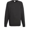 Lightweight raglan sweatshirt Light Graphite