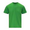 Softstyle™ midweight adult t-shirt Irish Green