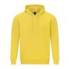 Softstyle™ midweight fleece adult hoodie Daisy