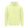 Softstyle™ midweight fleece adult hoodie Pistachio