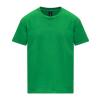 Softstyle™ midweight youth t-shirt Irish Green